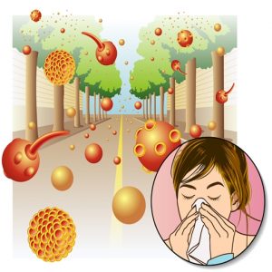 Allergies pollen1